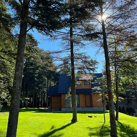 Dalma Villa Divcibare